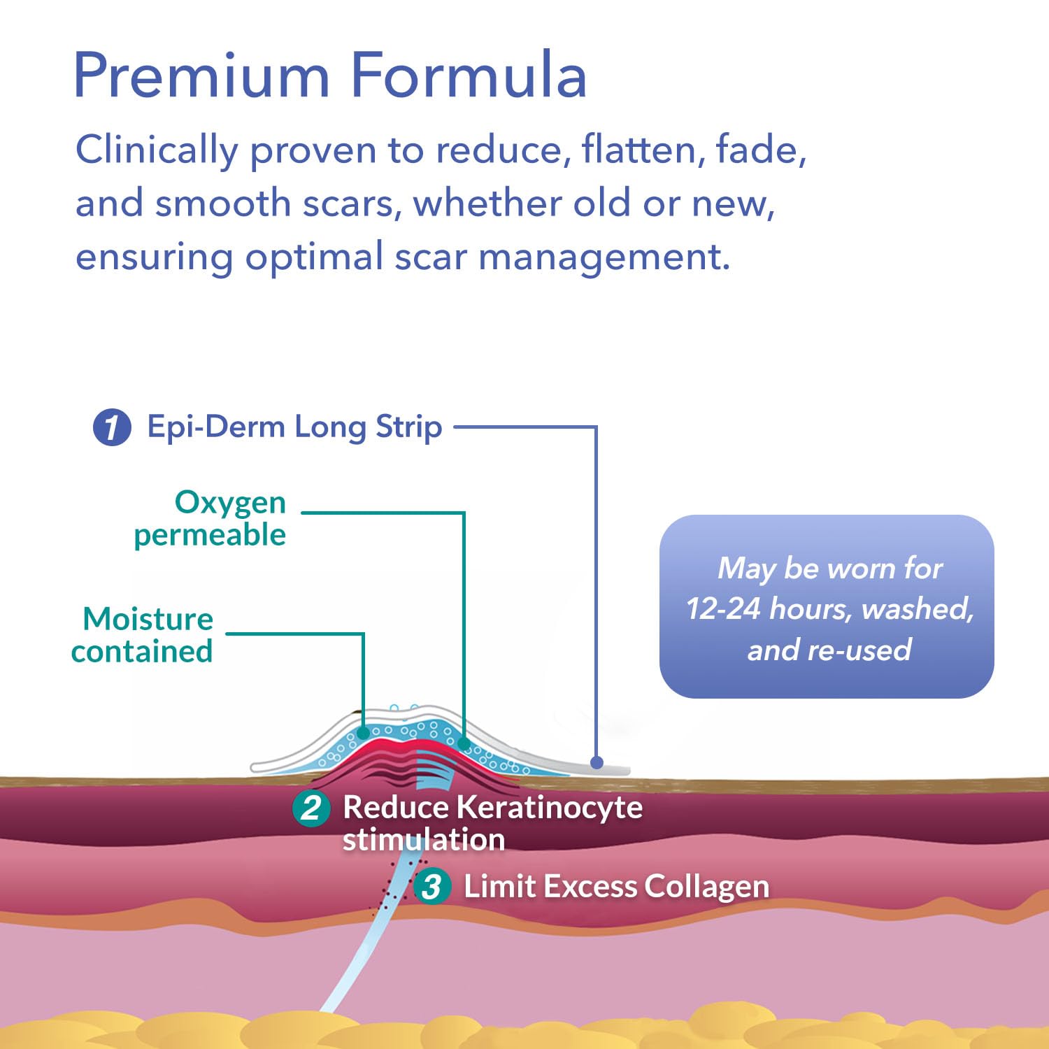 Biodermis Epi-Derm Long Strips, Silicone Gel Sheeting for Scars, Ideal for C-Section, Tummy Tuck, Cardiac Surgery Scars, Premium