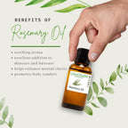 Rosemary Essential Oil - 4 fl oz - GreenHealth