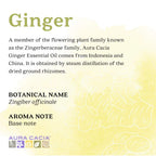 Aura Cacia Ginger Essential Oil | GC/MS Tested for Purity | 15ml (0.5 fl. oz.)