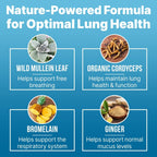 LUNG CLEAR PRO Lung Support Supplement Drops with Wild Mullein Leaf Extract for Lungs and Mucus Relief Support - 2 Fl oz - 6 Bot