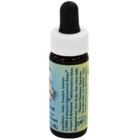 Flower Essence Services Supplement Dropper, White Chestnut, 0.25 Ounce