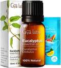 Gya Labs Eucalyptus Essential Oil for Diffuser - Eucalyptus Oil for Skin - Eucalyptus Essential Oil for Aromatherapy Humidifier 