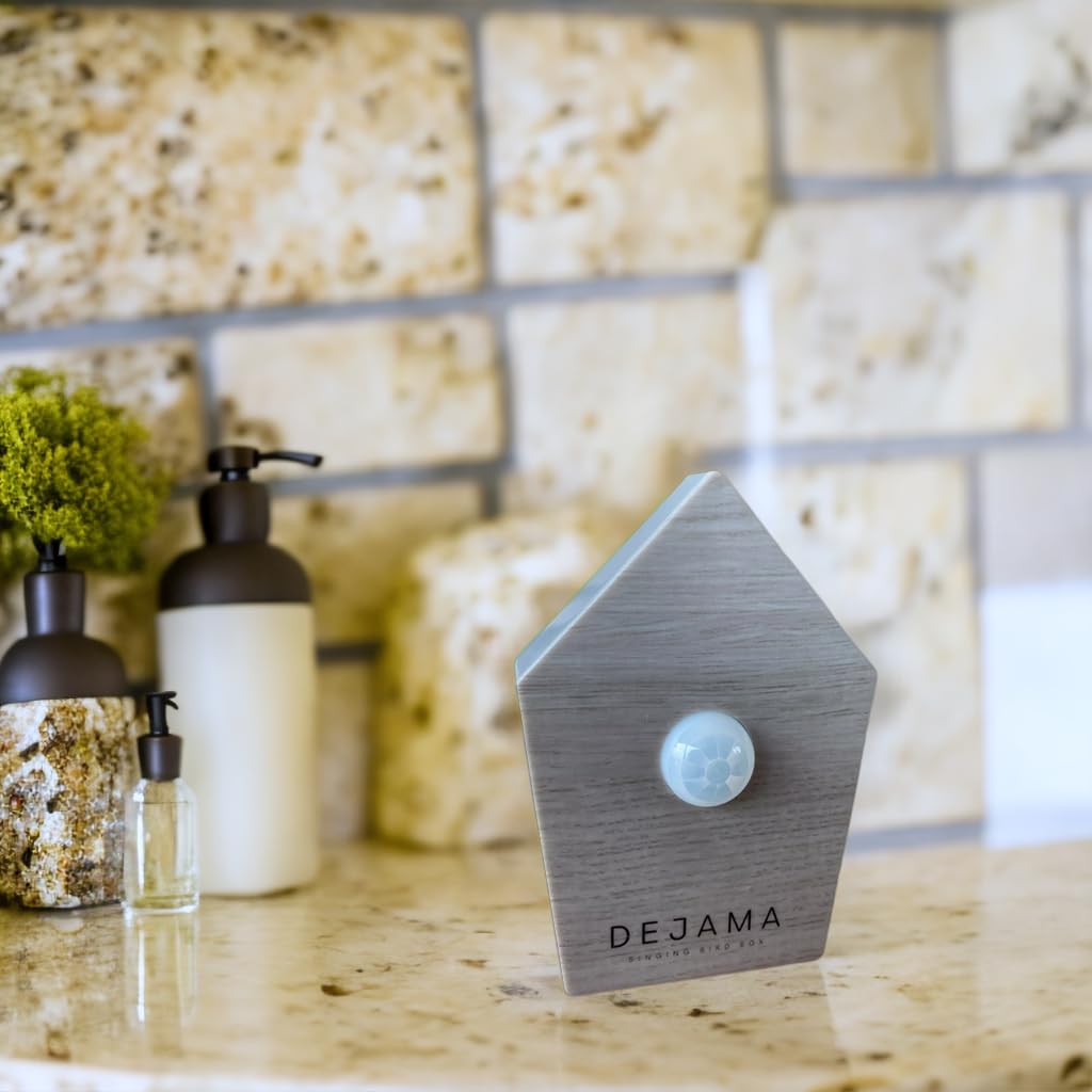 Singing Bird Box Dejama Ambient Noise Birds Chirping Songs Zwitscher Bathroom Sounds Relaxing