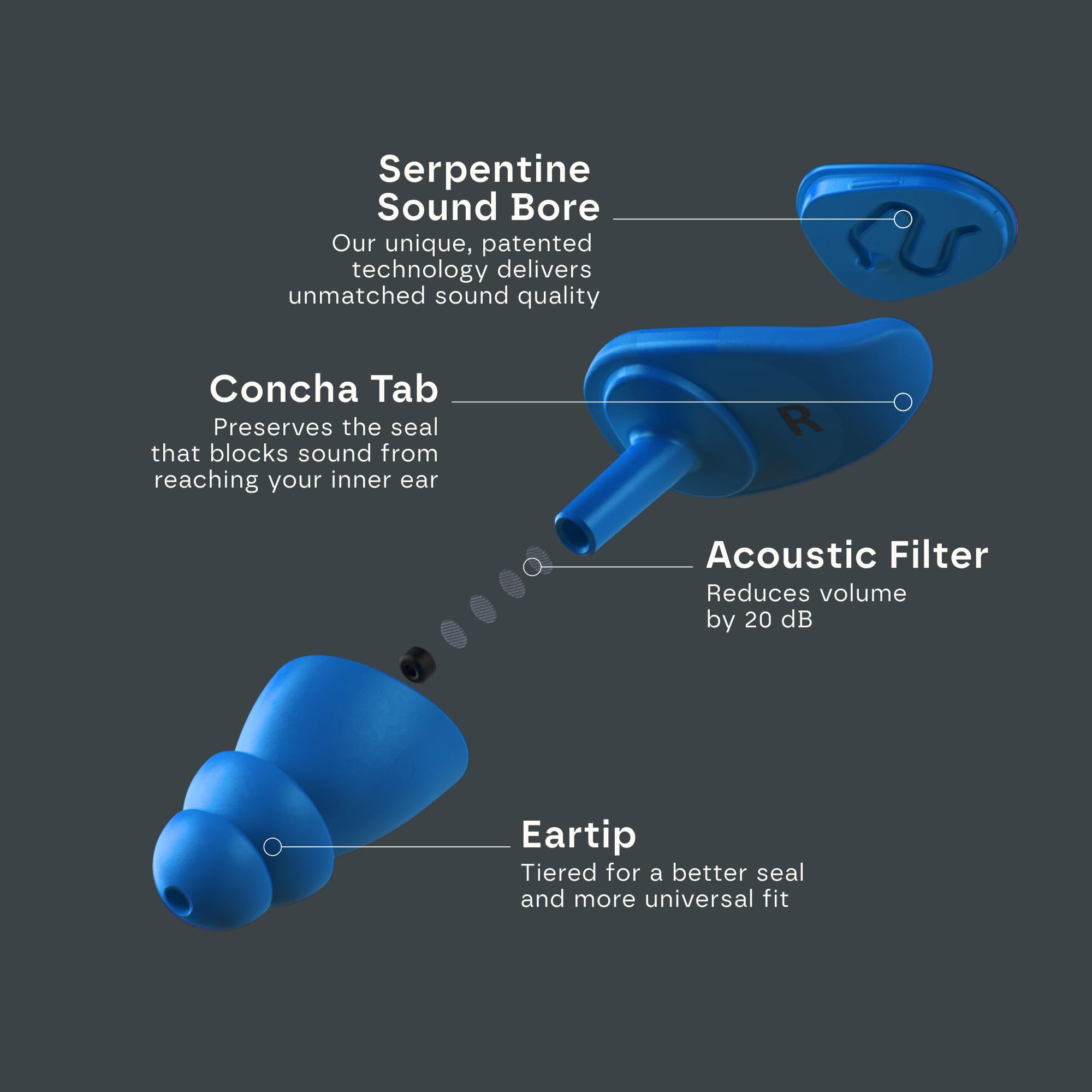 EAROS Hendrick Motorsports Car 5 High-Fidelity Ear Plugs - Durable Reusable Hearing Protection - Preserve Clear Sound While Prot