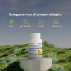 Rising Pharma Allergy Relief - Loratadine Tablets 10mg - Antihistamine, Allergy Relief Product - 300 Tablets