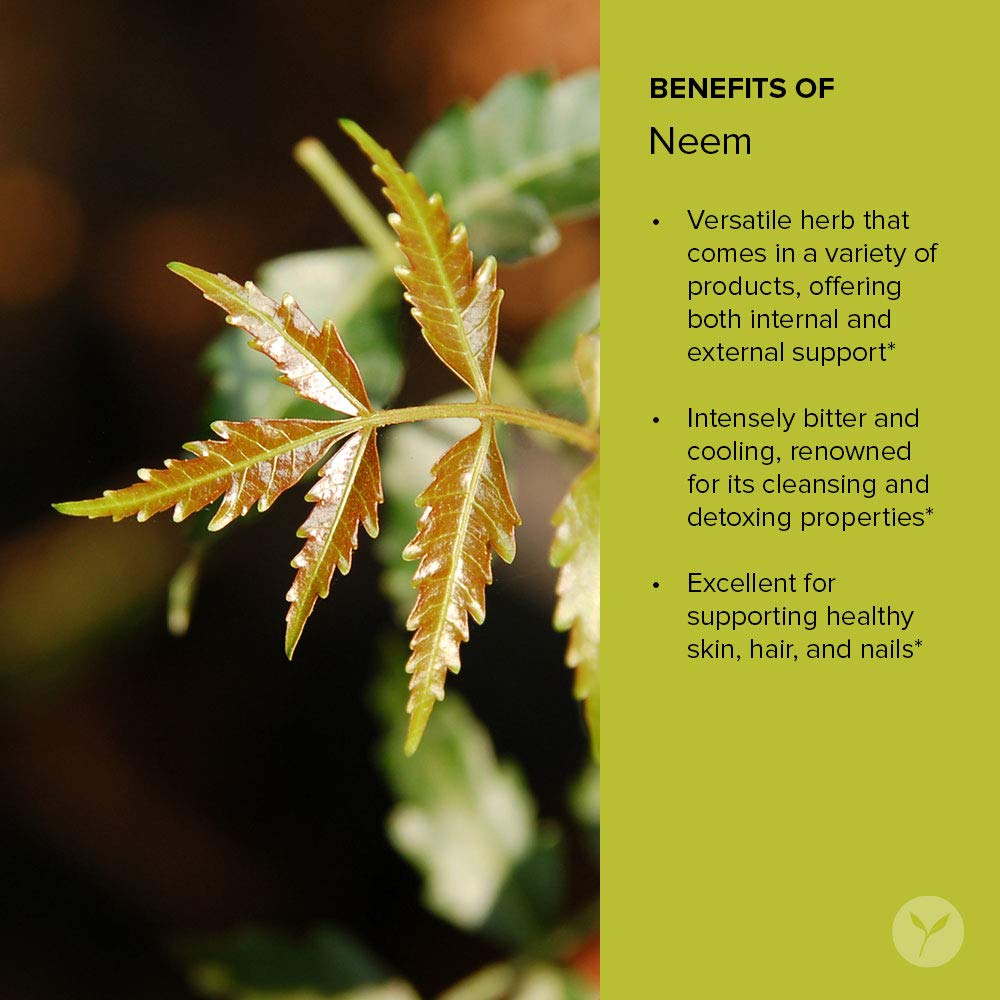 Banyan Botanicals Neem Oil - Pure & Organic Neem Oil - Traditional Ayurvedic Neem Oil That Cools & Soothes - Supports Healthy Sk