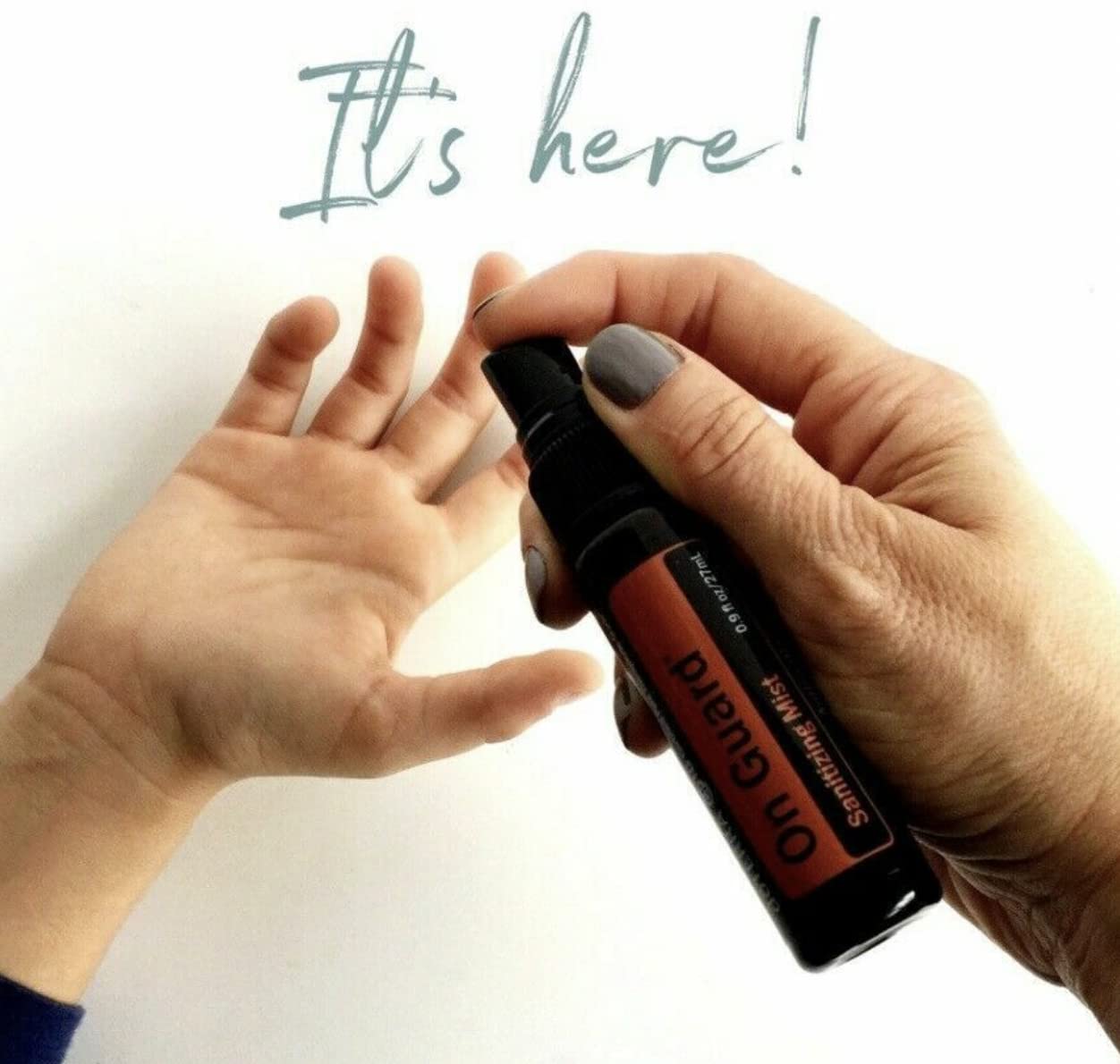 doTERRA On Guard Sanitizing Mist - 27mL  (2 Pack)