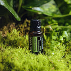 doTERRA Shinrin-Yoku Forest Bathing Blend 15 mL