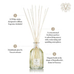 Dr. Vranjes Ginger and Lime Crystal Room Diffuser 500 ml