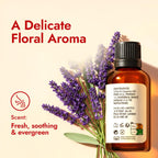 Hana Lavender Essential Oil (1 Fl Oz) Lavender Oil for Diffuser, Skin, Body, Aromatherapy, and Massage - with a Sweet, Calming