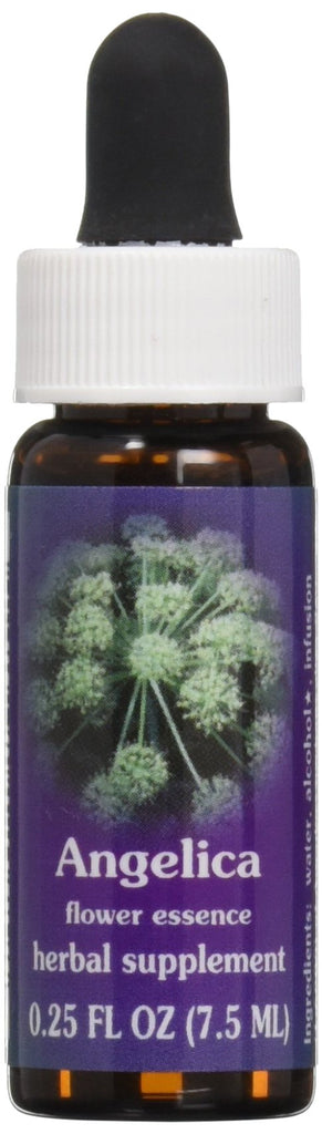 Flower Essence Services Angelica Essence, 0.25 Ounce