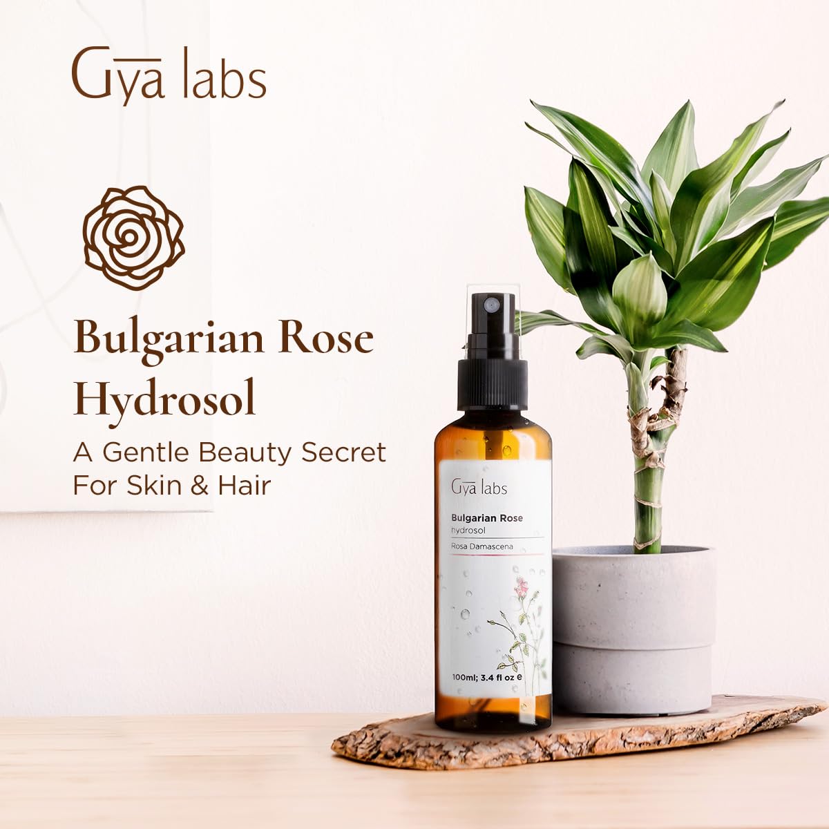 Gya Labs Bulgarian Rose Hydrosol for Skin and Hair - Rose Toner To Moisturize Skin, 100% Pure Natural Face Mist Spray, Pillow an