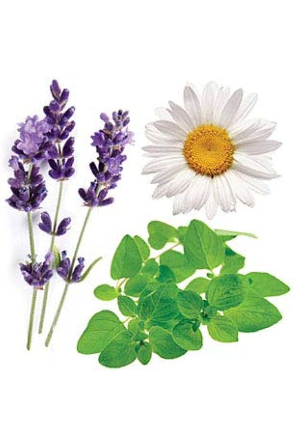 doTERRA Serenity Essential Oil Restful Blend - 15 ml