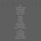 Antica Farmacista Home Ambiance Diffuser,Elderflower,8.45 Fl Oz