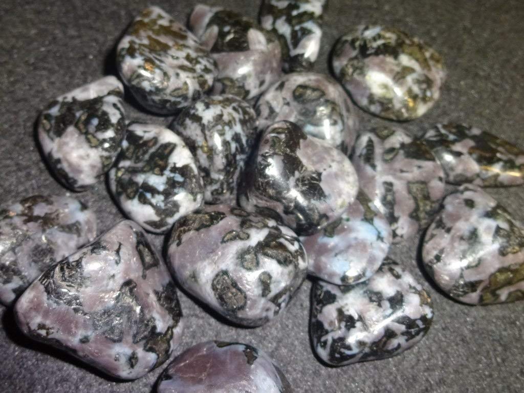 2pc Mystic Merlinite / Indigo Gabbro / Medium Tumbled & Polished / Natural Healing Crystal Gemstone Collectible , Display or Wra