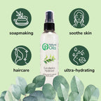 Eucalyptus Hydrosol (Floral Water) - 8 fl oz Plastic Jug w/Cap - 100% Pure (NOT Oil)