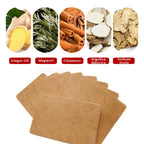 GreenHB 100 Pcs Ginger Patches Herbal Ginger Foot Pads Lymphatic Drainage Patches