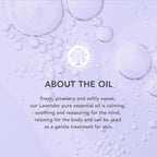 Tisserand Pure Essential Oil, Lavender, 0.32 Ounce