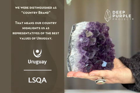 DEEP PURPLE PROJECT Beautiful Amazing Geodes Polished Amethyst Cluster (250 gr to 350 gr) Quartz Crystal Geode Spiritual Healing