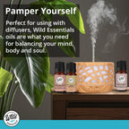 Wild Essentials Anise Star 100% Pure Essential Oil 2 Pack - 10ml, Therapeutic Grade, Made and Bottled in The USA
