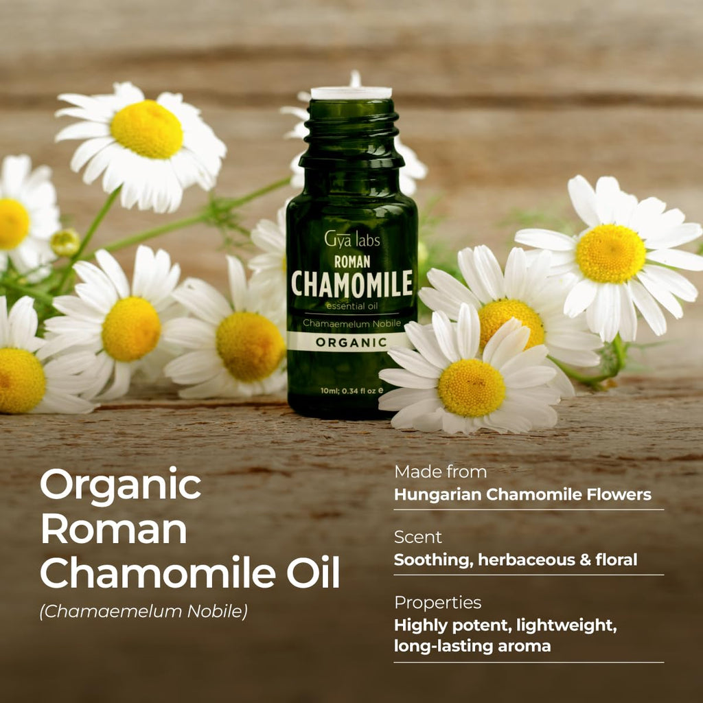Gya Labs Organic Roman Chamomile Essential Oil for Diffuser - 100% Pure Natural Organic Roman Chamomile Oil for Skin & Hair, Rel