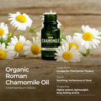 Gya Labs Organic Roman Chamomile Essential Oil for Diffuser - 100% Pure Natural Organic Roman Chamomile Oil for Skin & Hair, Rel