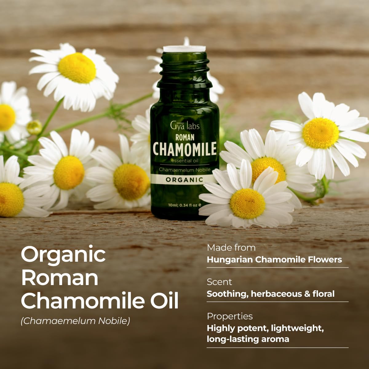 Gya Labs Organic Roman Chamomile Essential Oil for Diffuser - 100% Pure Natural Organic Roman Chamomile Oil for Skin & Hair, Rel