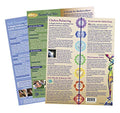 Ohm Therapeutics Tuning Fork Treatment Charts (3) - for Self-Care, Massage Therapy, Energy Practitioners, Chakra Balancing & Sou