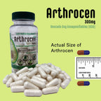 Arthrocen EVO Vegan Joint Health Supplement, 300Mg Avocado Soy Unsaponifiable, 60 Day Supply, One Capsule Per Day (2 Months)