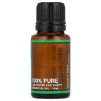 Natures Fusions Australian Eucalyptus Radiata 15 ml, 100% Pure Therapeutic Grade Aceite de Eucalipto - Aroma Therapy Plant Oils