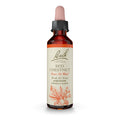 Bach Original Flower Remedies, Red Chestnut for Peace of Mind, Natural Homeopathic Flower Essence, Holistic Wellness and Stress 