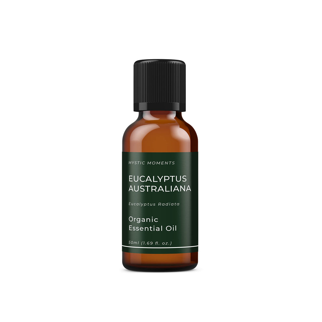 Mystic Moments | Eucalyptus Australiana (Radiata) Organic Essential Oil - 50ml - 100% Pure