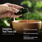 Gya Labs USDA Certified Organic Tea Tree Essential Oil for Hair - 100% Pure Natural Australian Organic Tea Tree Oil for Skin, Fa