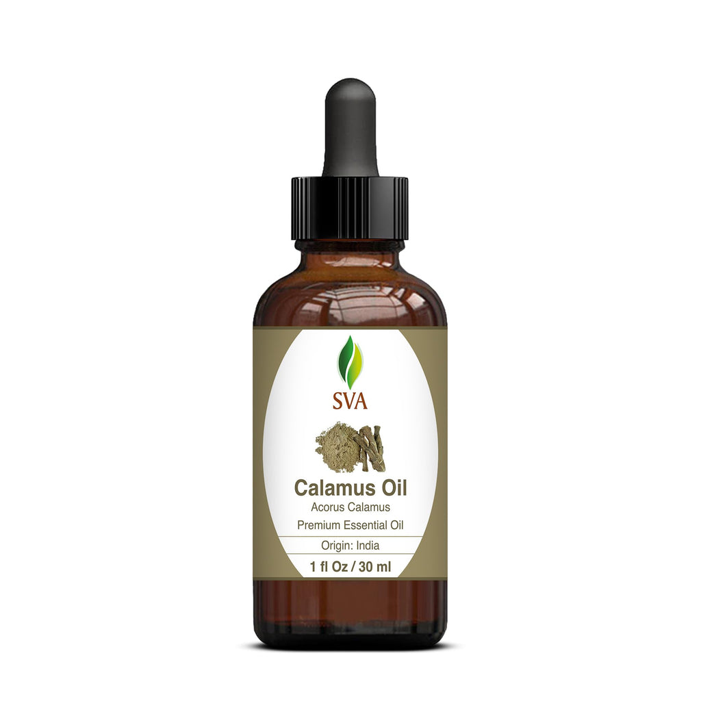 SVA Calamus Essential Oil - 1 Fl Oz - 100% Natural Calamus Oil - for Diffuser, Hair Care, Face, Skin Care, Aromatherapy, Scalp a