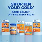 Zicam Cold Remedy Zinc Medicated Fruit Drops, Assorted Flavors, Homeopathic, Cold Shortening Medicine, Shortens Cold Duration, 2