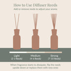 Archipelago Botanicals Currant Reed Diffuser, Home Fragrance Reed Diffuser, Includes Fragrance Oil, Decorative Wooden Cap & 10 D