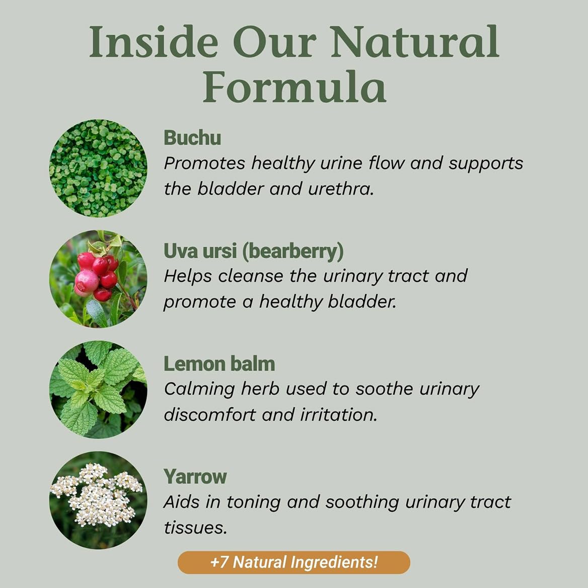 Native Remedies UTI-Clear for Urinary Tract and Bladder Health, 59 ml
