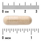 Full Spectrum Wild Yam