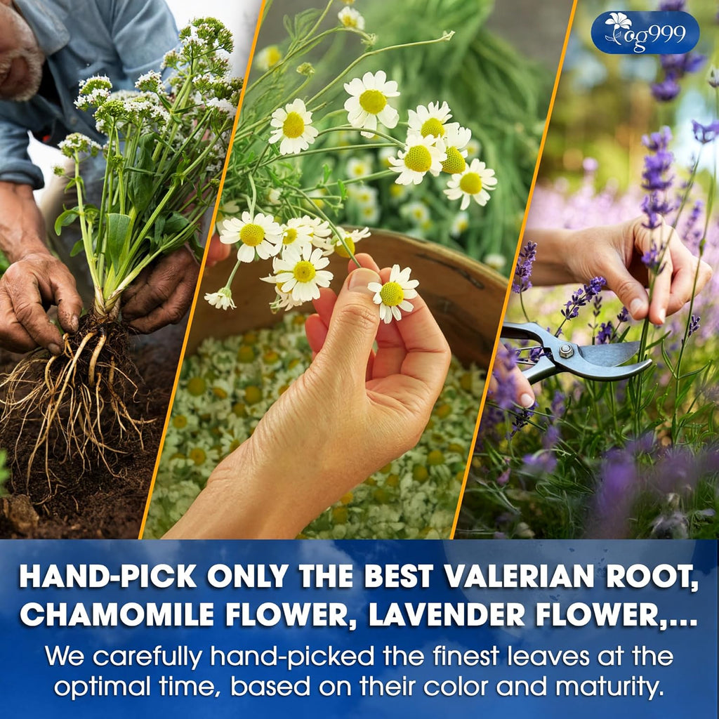 Premium Valerian Tea