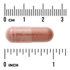 Red Yeast Rice & CoQ10 with Milk Thistle and Alpha Lipoic Acid