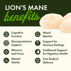 Organic Lion's Mane Mushroom