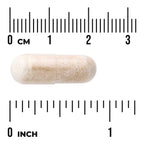 Hydrangea Root Extract - 4:1 Extract