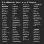 90 Day Detox & Recharge