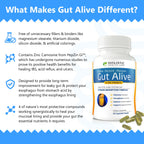 Gut Alive For Restoring Gut Lining - All Natural Support to Fight Leaky Gut, IBS, Heartburn, Acid Indigestion, Acid Reflux, Bloa