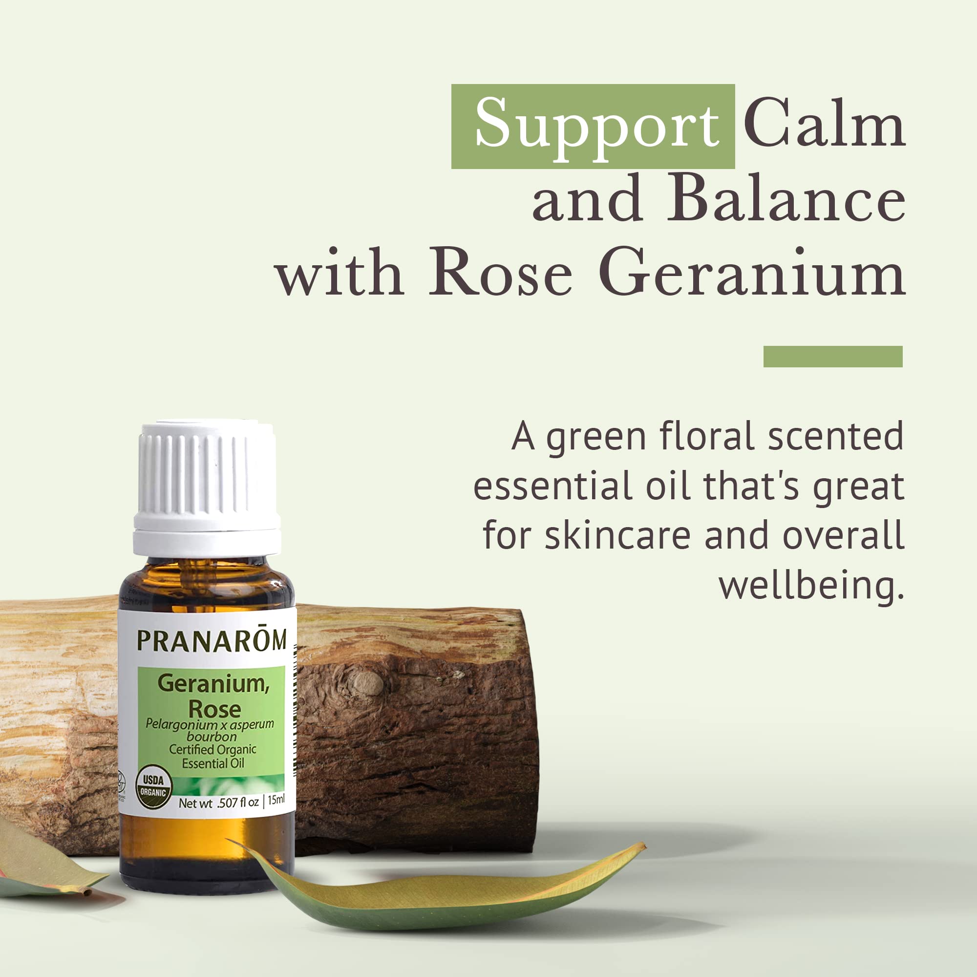 Pranarom USDA Certified Organic Rose Geranium Essential Oil (5ml), 100% Pure Undiluted Therapeutic Grade from Madagascar for Aro