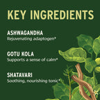 Banyan Botanicals Stress Ease - Organic Herbal Supplement for Stress & Fatigue* - with Ayurvedic Adaptogen Ashwagandha (Withania