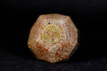 The Cosmic Connect Sunstone Orgone Dodecahedron Paper Weight for Positive Energy, Creativity, and Vitality