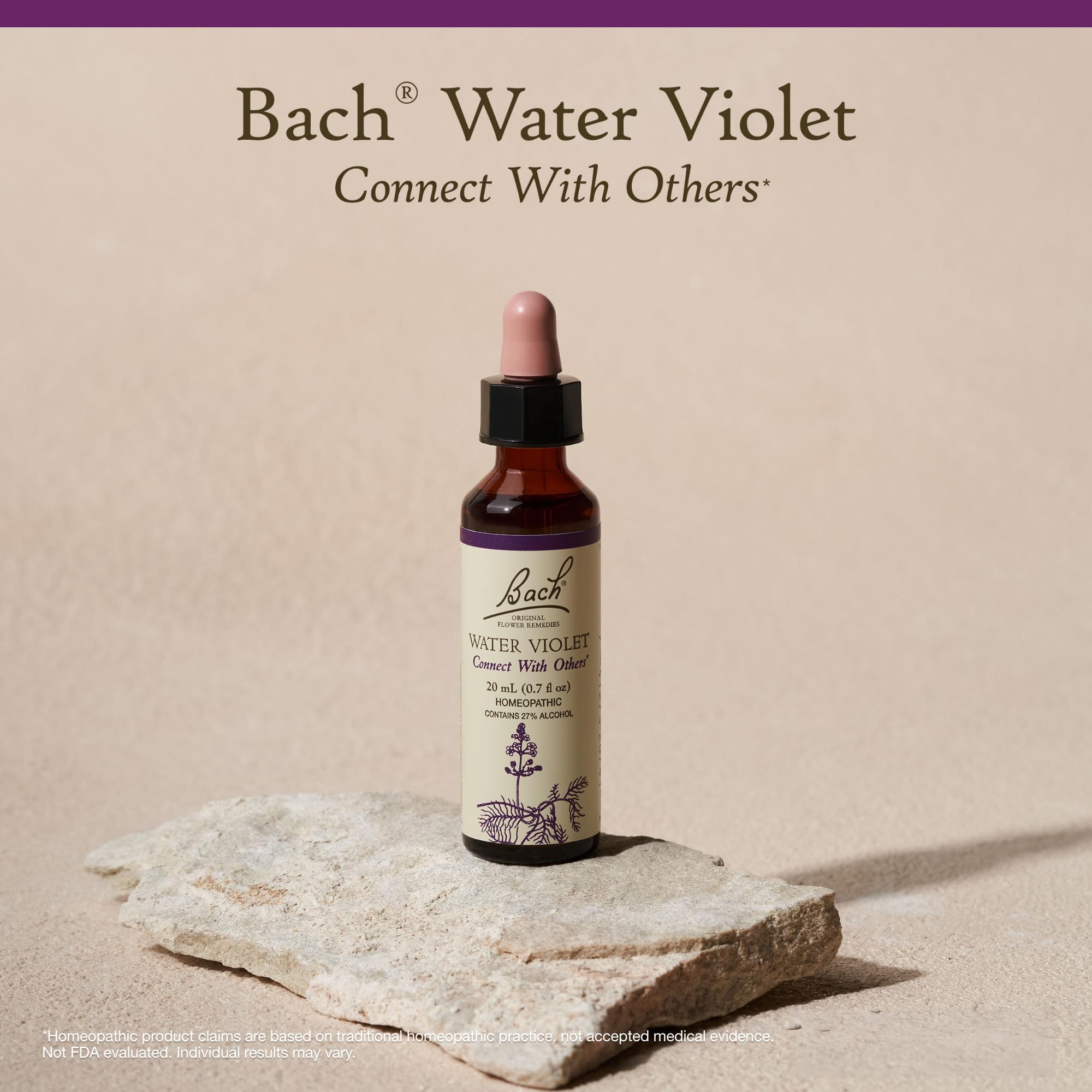 Bach Original Flower Remedies, Water Violet - Connect with Others - Natural Homeopathic Flower Essence for Emotional Balance - V