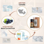 AKARZ Black Currant Essential Oil Natural Organic Pure Black Currant Oil for Skin Body Hair Care,Diffuser, Candle,Soap,Making, D