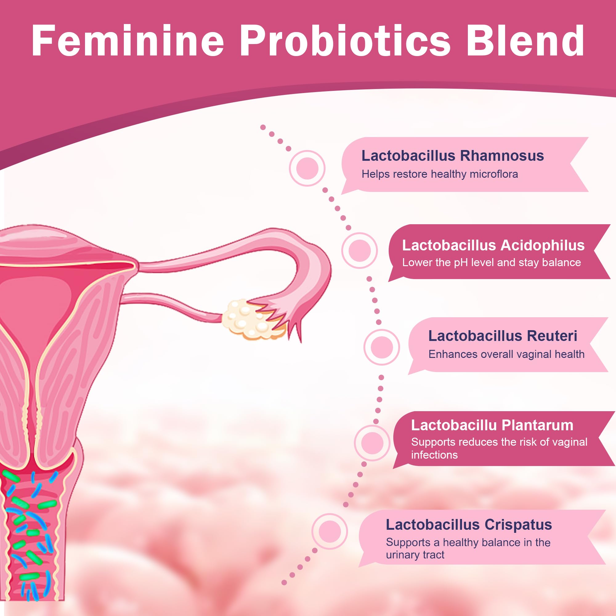 NATURE TARGET Vaginal Womens Probiotics, 100 Billion CFUs Probiotics & Prebiotics with Digestive Enzymes, Cranberry & D-Mannose